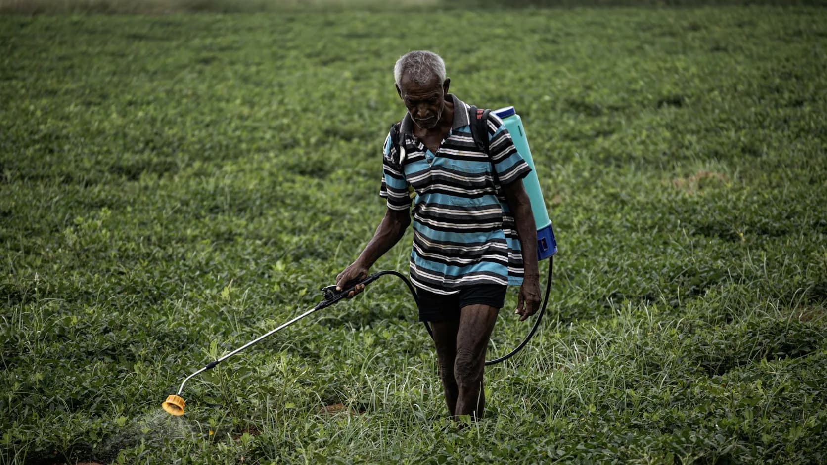 A technician crossing a property with a backpack sprayer, treating as they go.